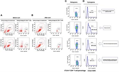 CTLA-4 expression on CD4+ lymphocytes in patients with sepsis-associated immunosuppression and its relationship to mTOR mediated autophagic–lysosomal disorder